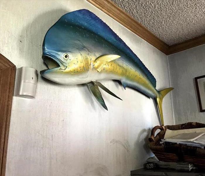 blue and yellow model of a fish hanging on a burnt wall