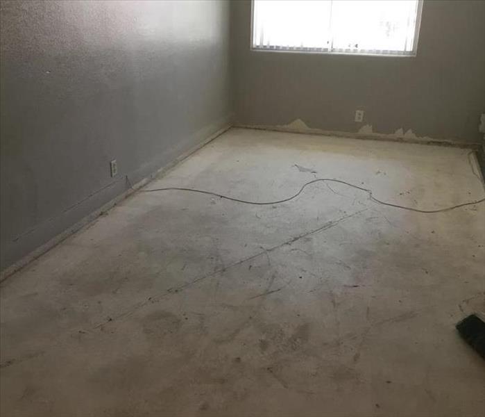 Baseboards in a condominium were removed to dry the wall space behind them